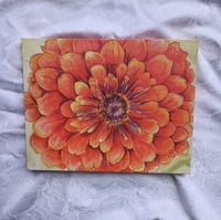 Image 1 of Zinnia Limited Edition Canvas Print