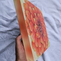Image 2 of Zinnia Limited Edition Canvas Print