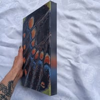 Image 2 of Macro Swallowtail Limited Edition Canvas