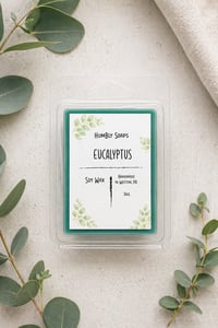 Eucalyptus Soy Wax Melt 