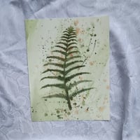 Image 1 of Fern Art –Giclée Fine Art Print