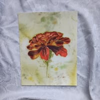Marigold – Giclée Fine Art Print 11x14