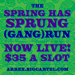 Image of Spring Has SPRUNG Gang Run!