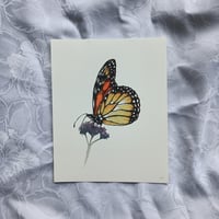 Monarch Butterfly– Giclée Fine Art Print 8x10