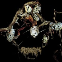 SPECTRAL VOICE - Sparagmose CD