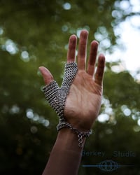 Image 2 of Digitalis - (fox) Glove