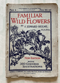 Image 1 of Familiar Wild Flowers booklet Part 4