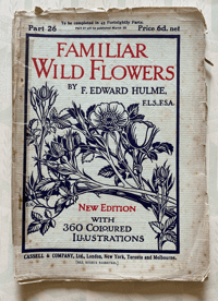 Image 1 of Familiar Wild Flowers Booklet Part 26
