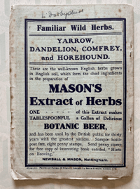 Image 3 of Familiar Wild Flowers Booklet Part 5