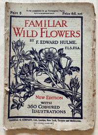 Image 1 of Familiar Wild Flowers Booklet Part 5