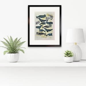 'The Haul Out' Limited Edition Print