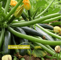 El Greco Courgettes