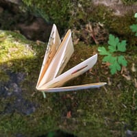 Image 4 of Fanzine du plaisir