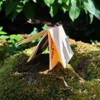 Image 3 of Fanzine des choses qui font péter