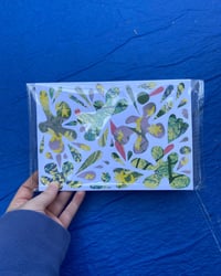 Image 1 of Collage - DROP FLEURS