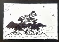 Image 2 of CORMORANT DISCO