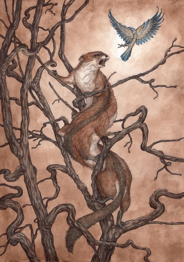 Image of 'The Climbing Stoat' Original Artwork by Adam Oehlers 