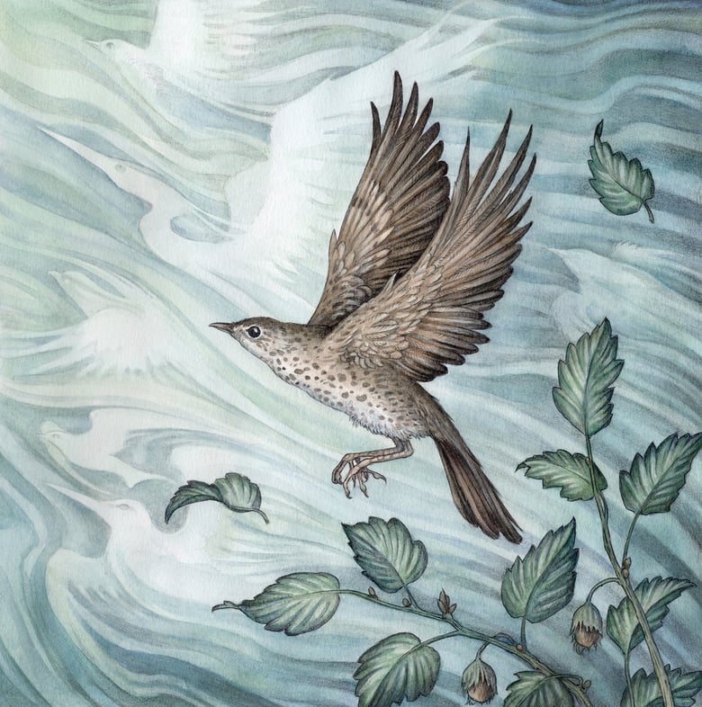Image of 'Song Bird' Original Artwork by Adam Oehlers 