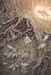 Image of 'Serenade' Original Artwork by Adam Oehlers