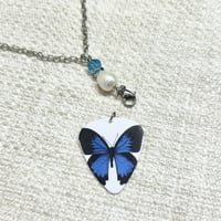 Image 3 of Sapphire Wings