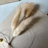 Image 3 of La pensée …