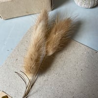 Image 3 of Le rêveur caresse ….