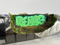 Image 4 of Green Rehab 