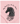 My Heart Runs On Four Hooves Horse T-Shirt