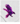 Iridescent Purple Raven T-Shirt