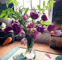 Image 4 of Tulip Bouquet or Arrangement Gift - Pre-Order for Farm Pickup (May 1-May 8)