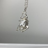 Image 4 of Beetle topaze