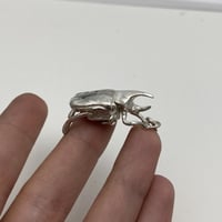 Image 3 of Beetle topaze