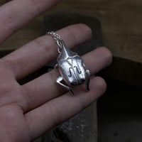 Image 5 of Beetle topaze