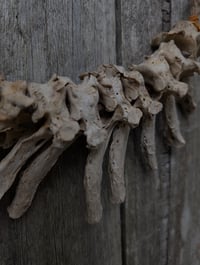 Image 2 of Forgotten 