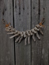 Image 3 of Forgotten 