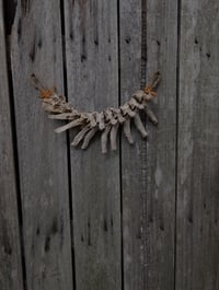 Image 1 of Forgotten 