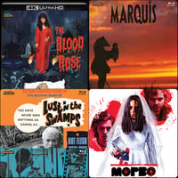 MAY '26 BUNDLE #1