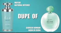 mayar 