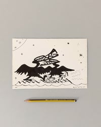 Image 1 of CORMORANT DISCO