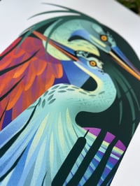 Image 2 of Love of herons