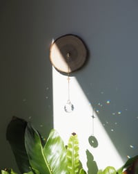 Image 4 of Soporte de Atrapaluces de pared