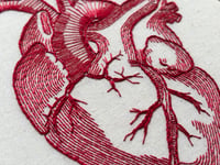 Image 4 of Red Anatomical Heart 5x7" Embroidery Hoop