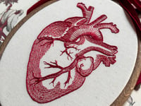 Image 3 of Red Anatomical Heart 5x7" Embroidery Hoop