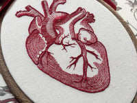 Image 6 of Red Anatomical Heart 5x7" Embroidery Hoop