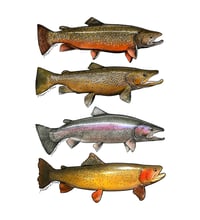 Image 1 of Fish Stickers