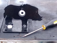 Image 2 of Wild boar adjustible