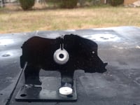 Image 3 of Wild boar adjustible