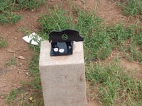 Image 5 of Wild boar adjustible