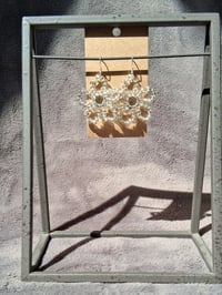 Image 5 of darling daisies 