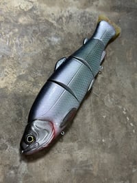 Image 1 of Immortal Trout 7.7 “Platinum Shad”
